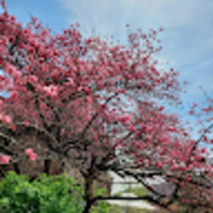 Meet your Posher, Viviana